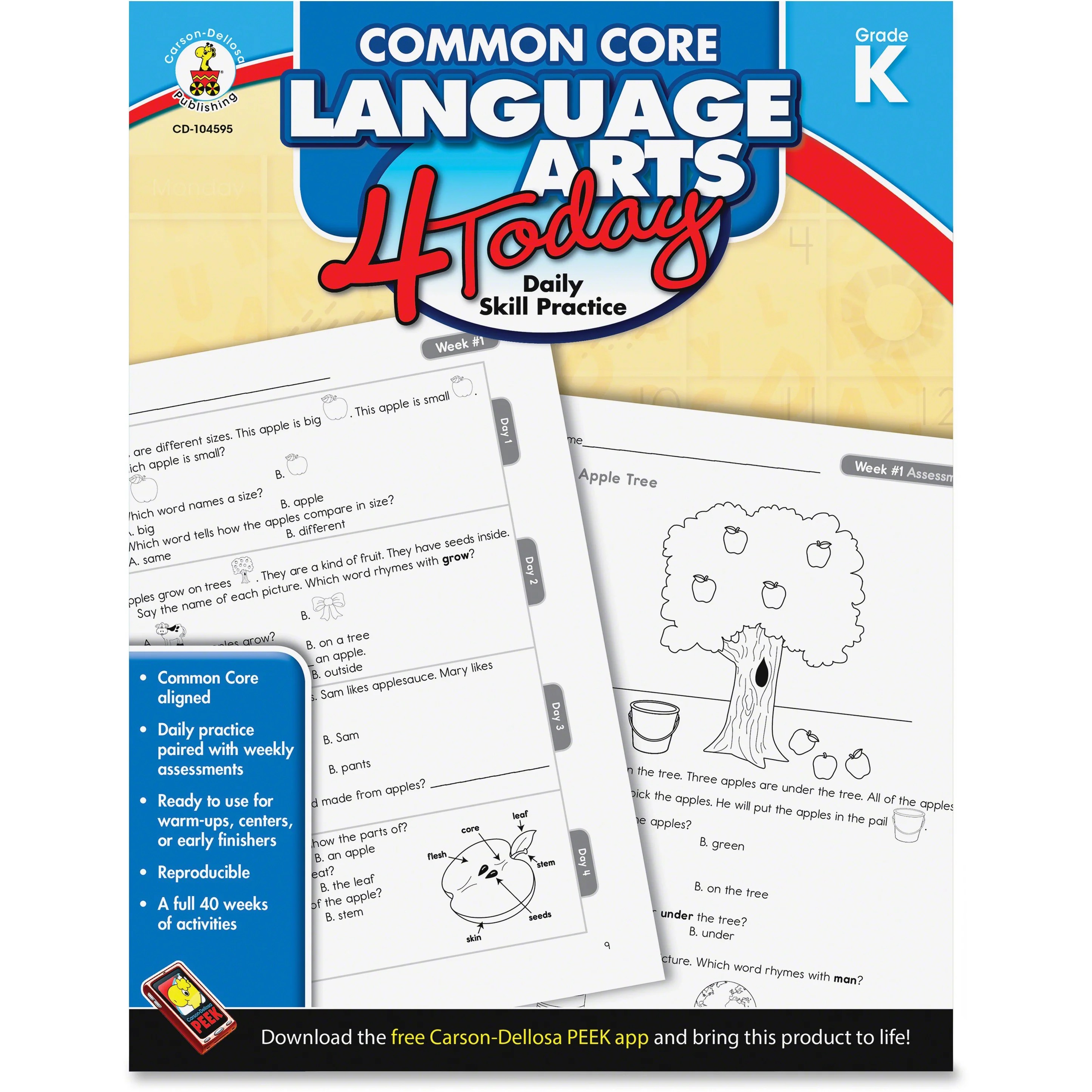 CarsonDellosa Publishing Common Core 4 Today Workbook