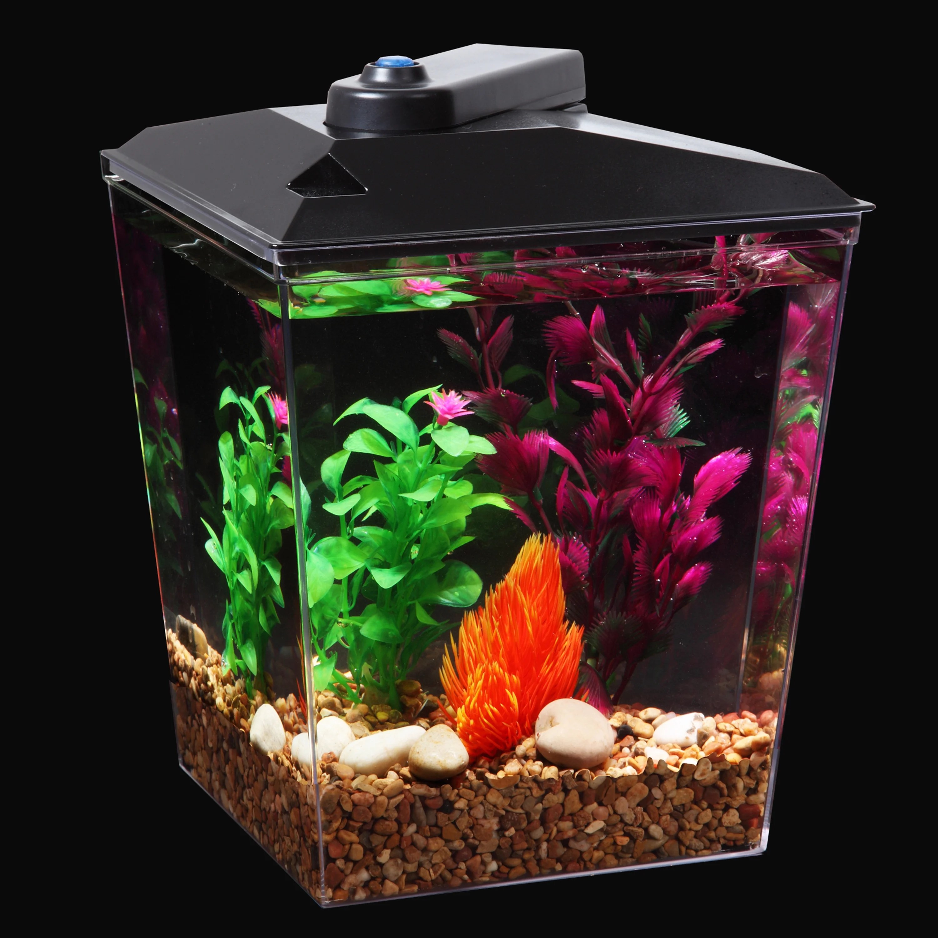 Aqua Culture 1Gallon Aquarium with LED Lighting and Internal Power