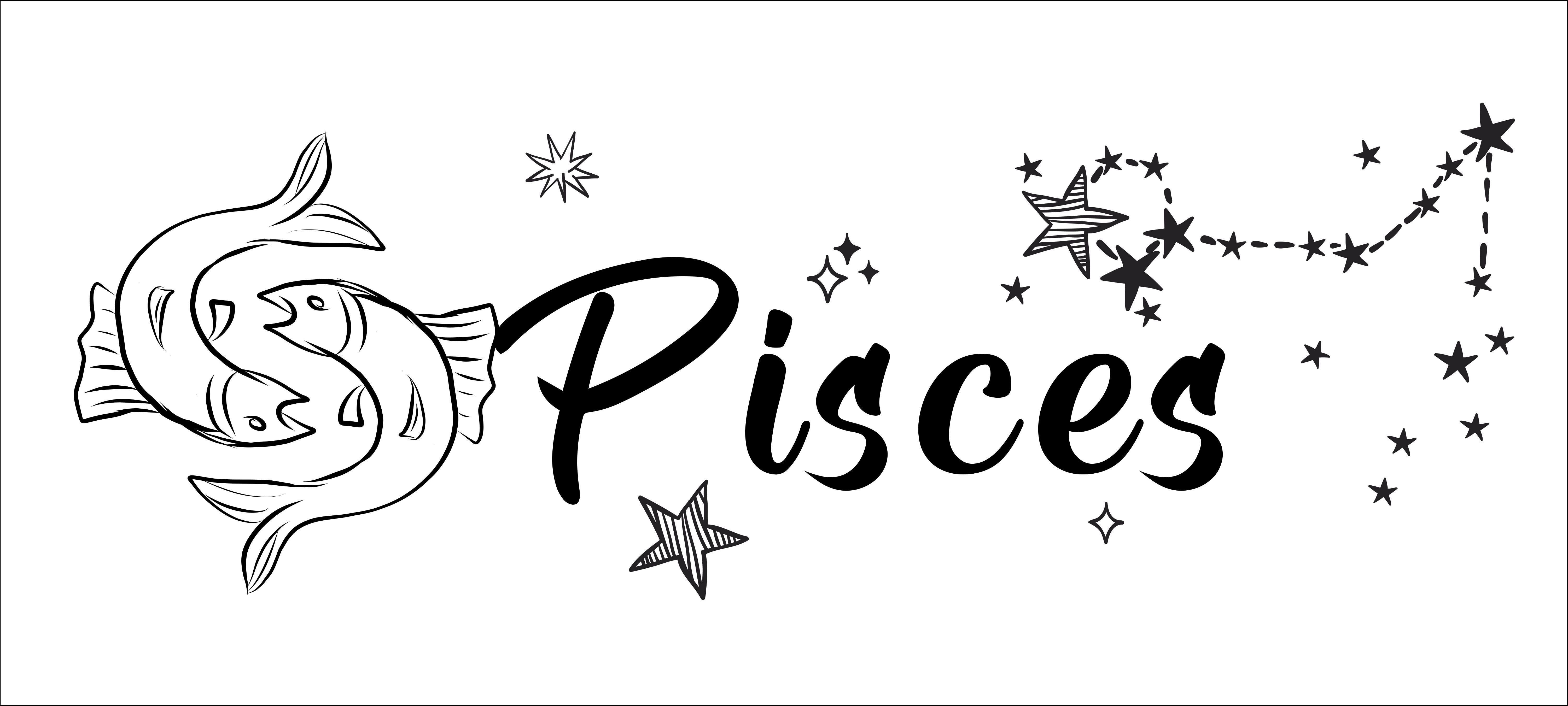 Stick And Peel Pisces Zodiac Sign Constellation Pattern Wall Decal 9