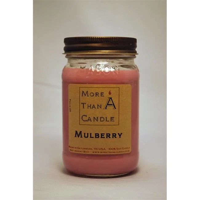 More Than A Candle MBY16M 16 oz Mason Jar Soy Candle, Mulberry