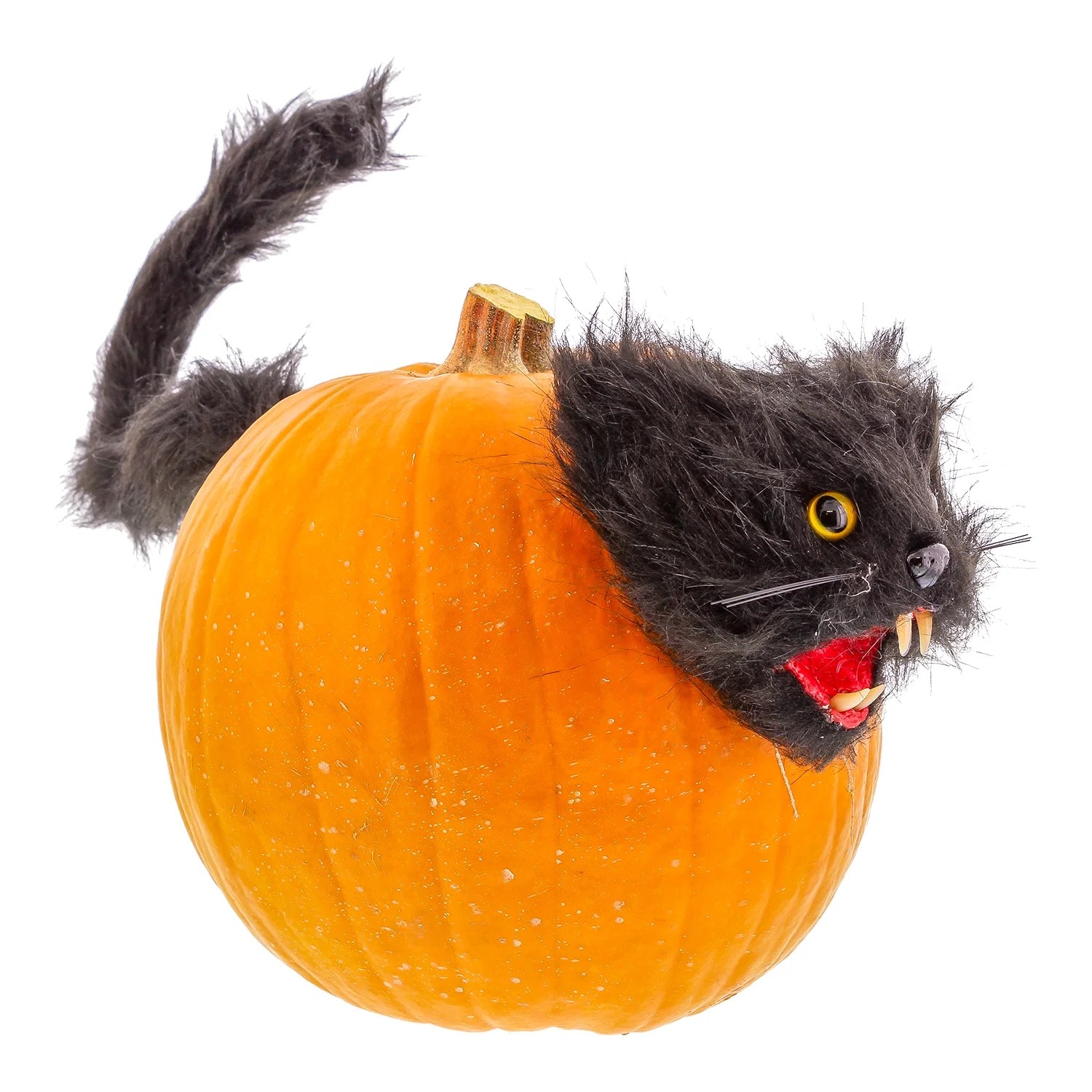 Halloween Haunters Black Cat Pumpkin Pushin Prop Decoration Scary