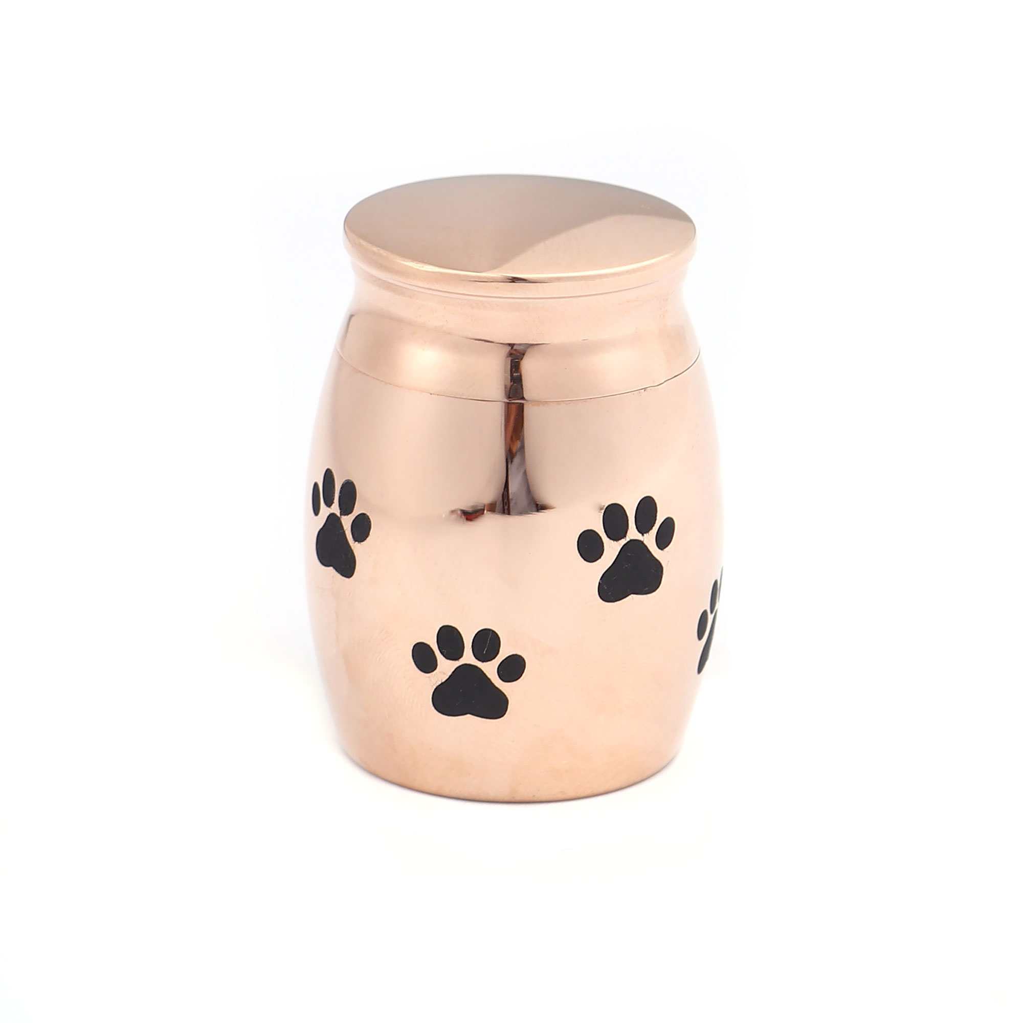 Anavia Rose Gold Pet Memorial Keepsake, Paw Print Mini Ashes Holder