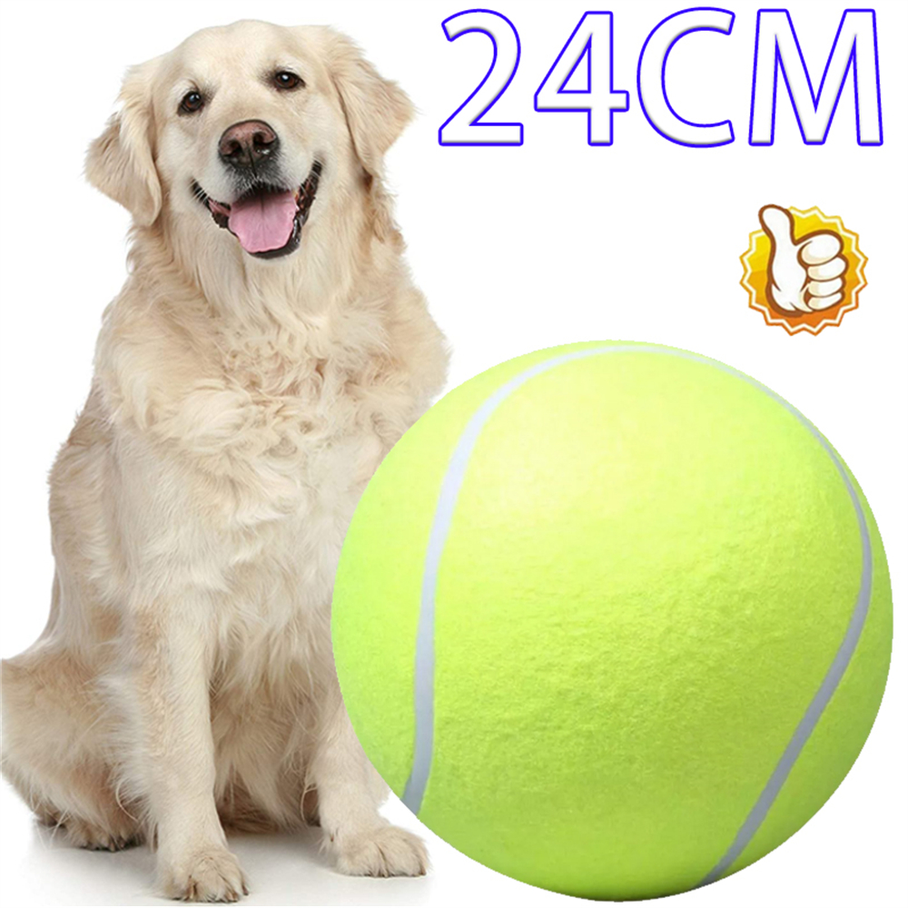 Are Tennis Balls Safe For Dogs Teeth