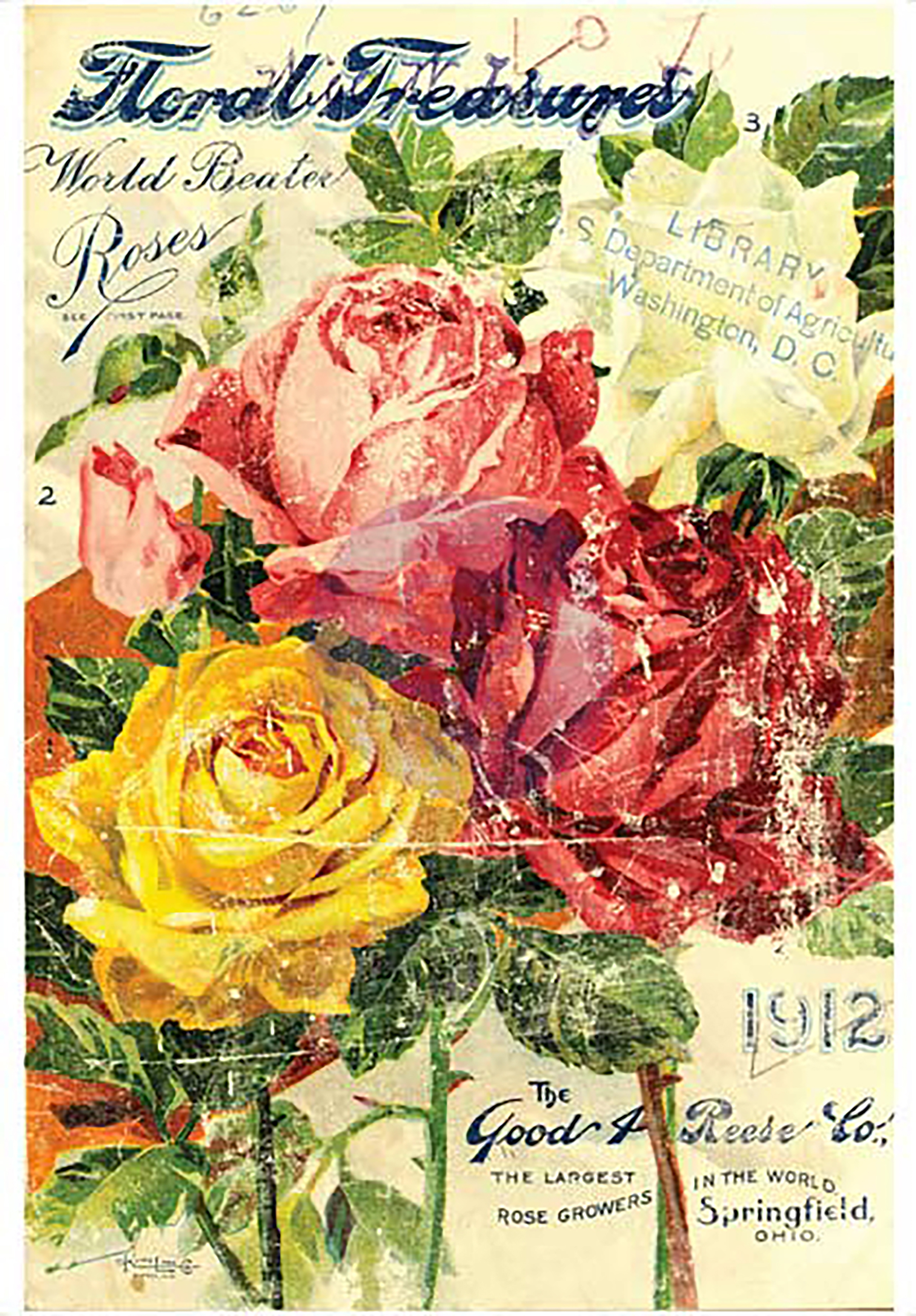 Iron Orchid Designs Decor Transfer RubOnsFloral