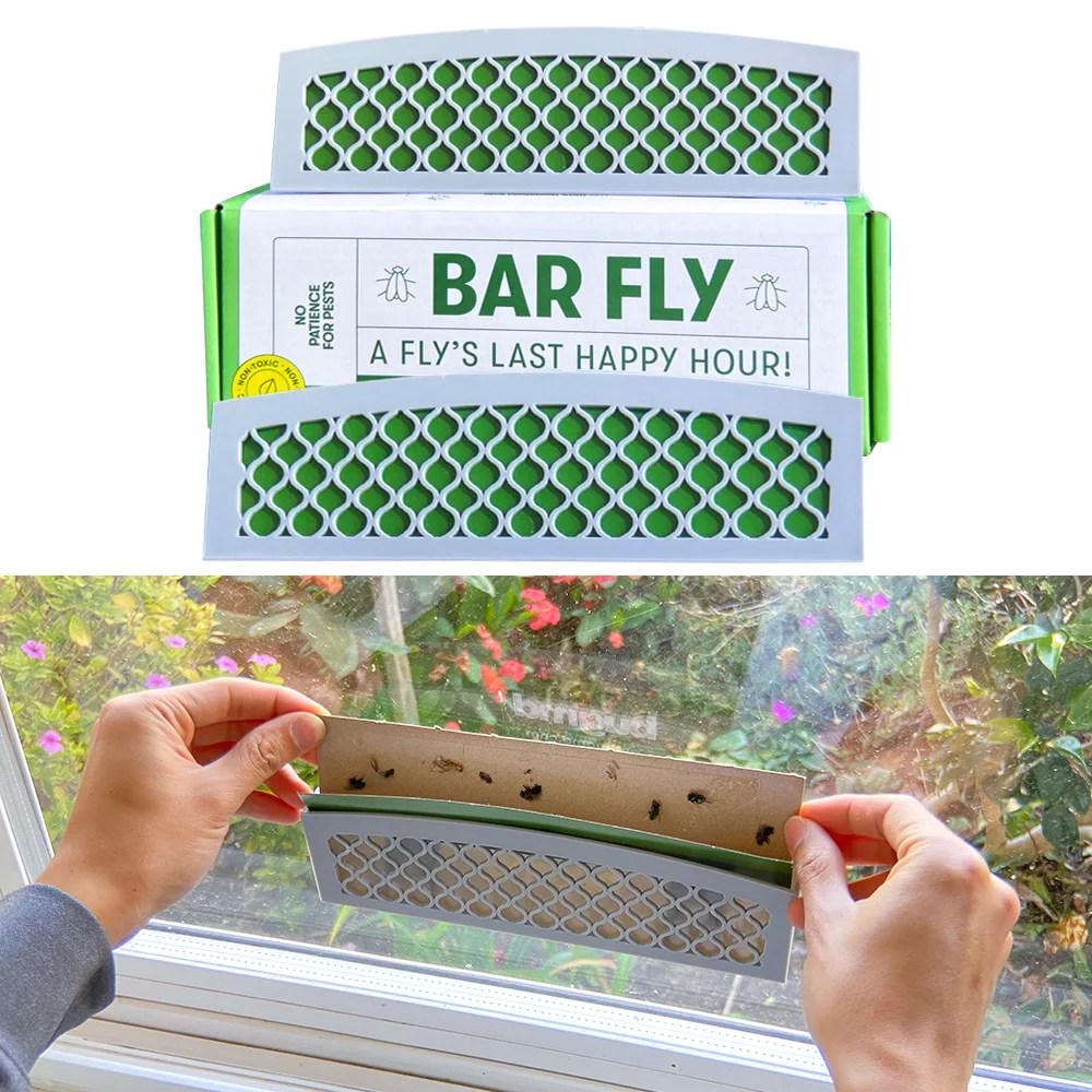 Here are amenities they receive in their lounges on the ground. Here are all the where fliers wait for the fly bar in circus answers. BugMD Bar Fly (2 Bars + 4 Sticky Traps), Nontoxic Odorless Traps Bugs