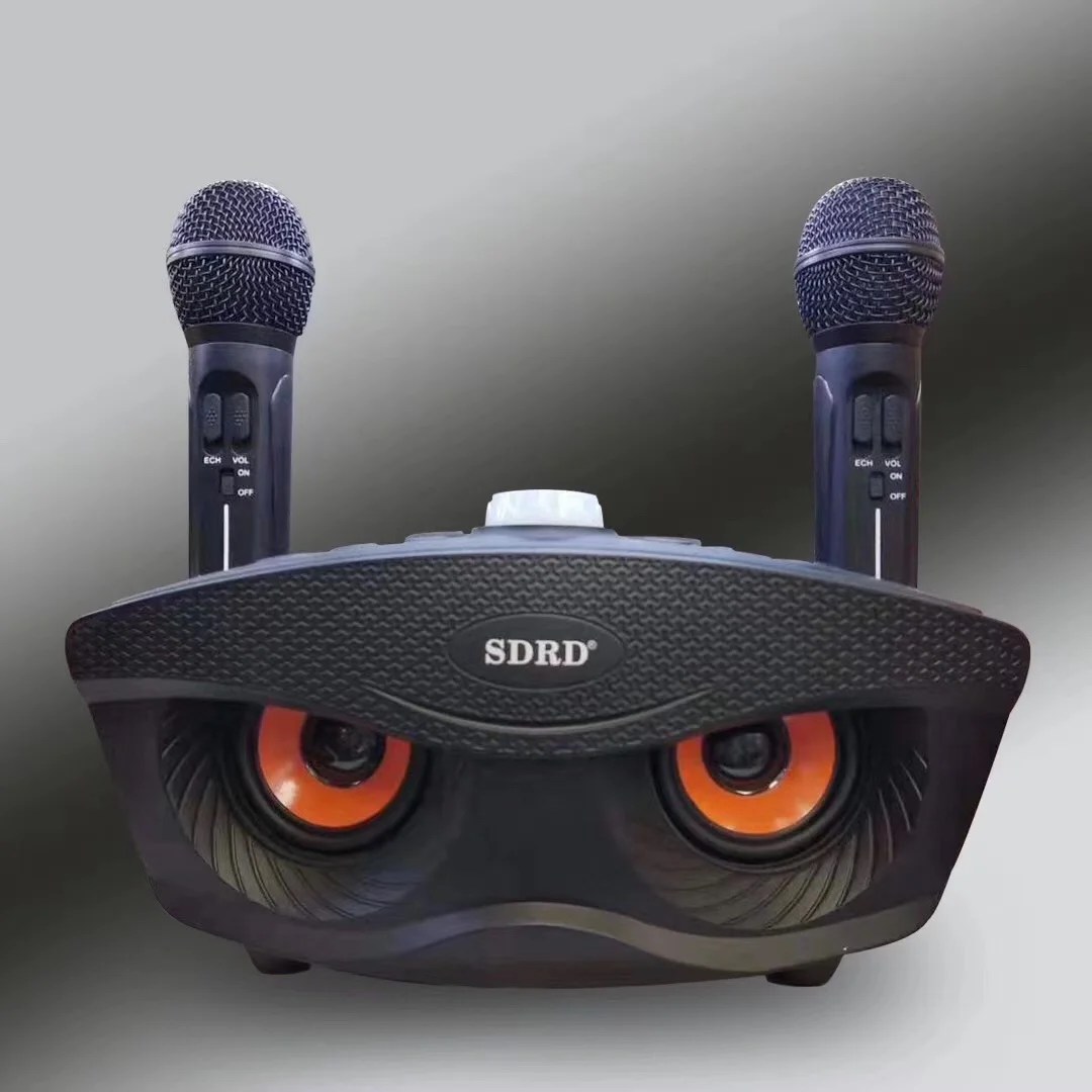 SD306 Dual Wireless Microphone Bluetooth Speaker Mobile Wireless