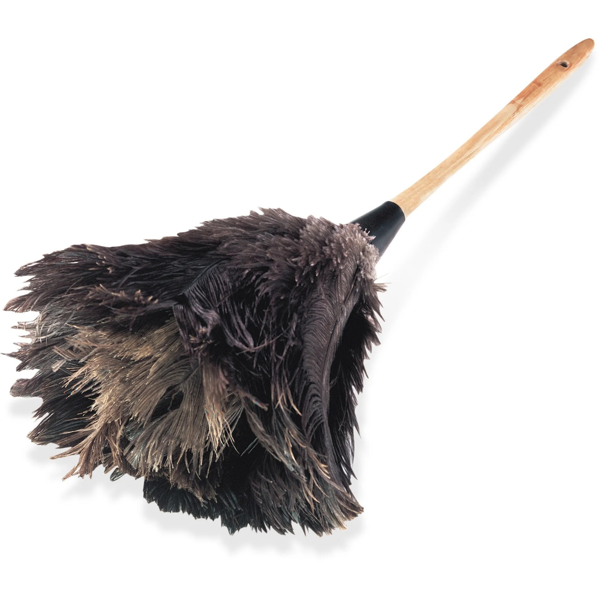 Feather Duster