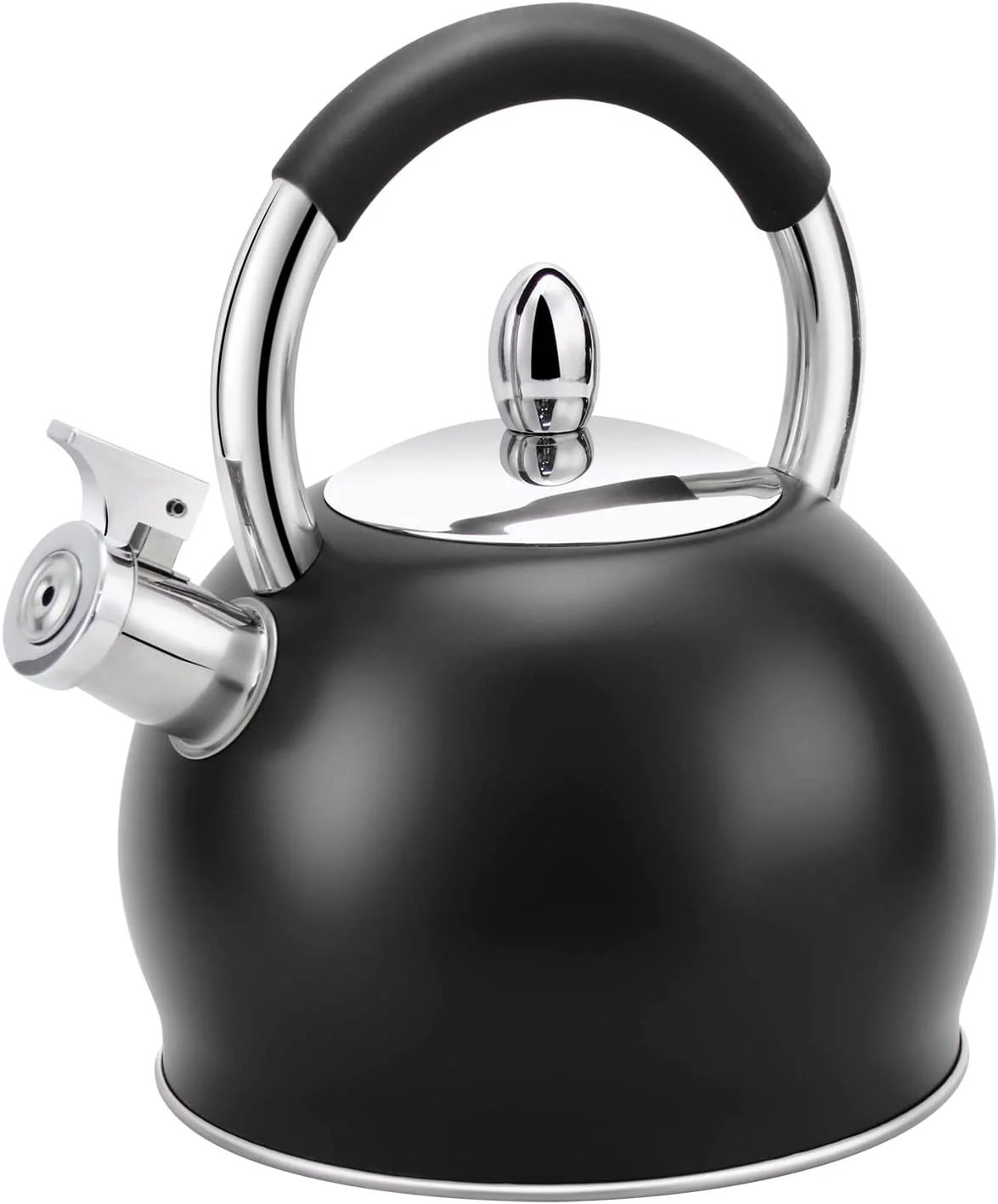 H Haus Roland Whistle Tea Kettle Stainless Steel Teakettle Teapot with
