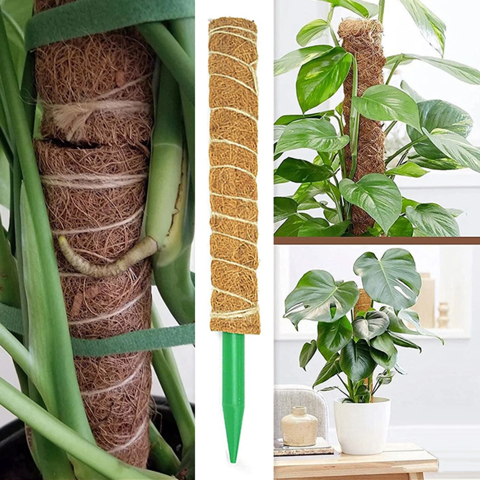 Cheers US Moss Pole for Plant Monstera, Plant Stakes Spagham Real