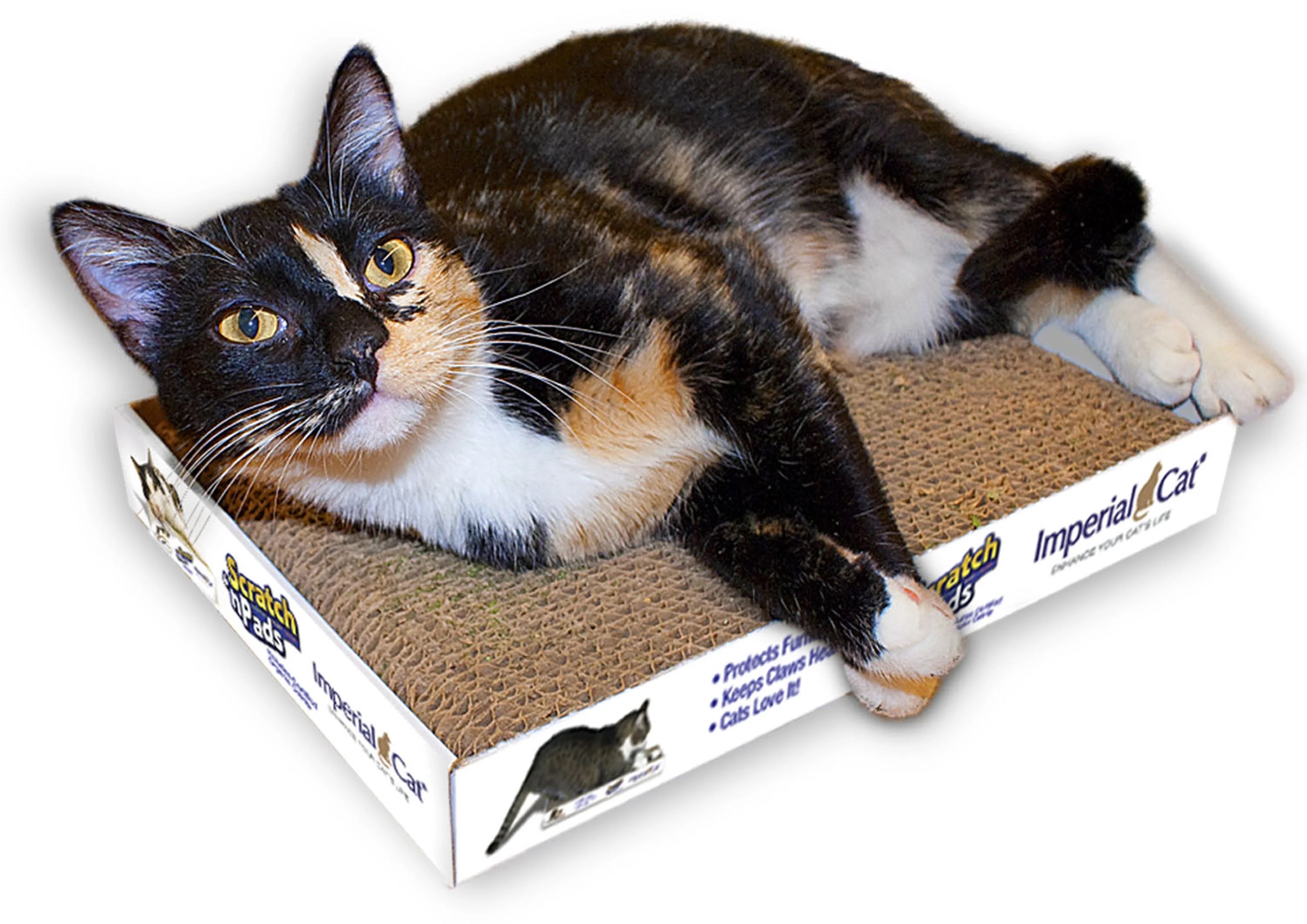 Imperial Cat Scratch 'n Pad Grand