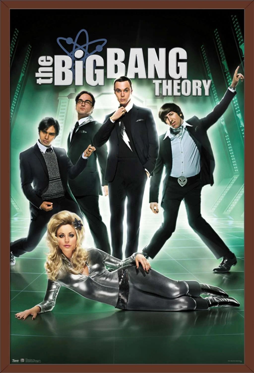 The Big Bang Theory Group Poster