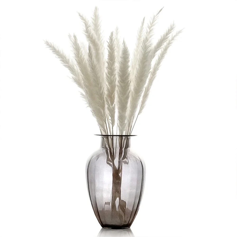 Vase With Pampas Grass Photos All