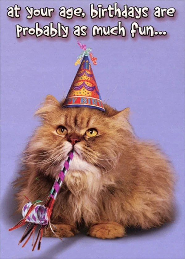 Designer Greetings As Much Fun Cat with Party Hat and Horn Funny