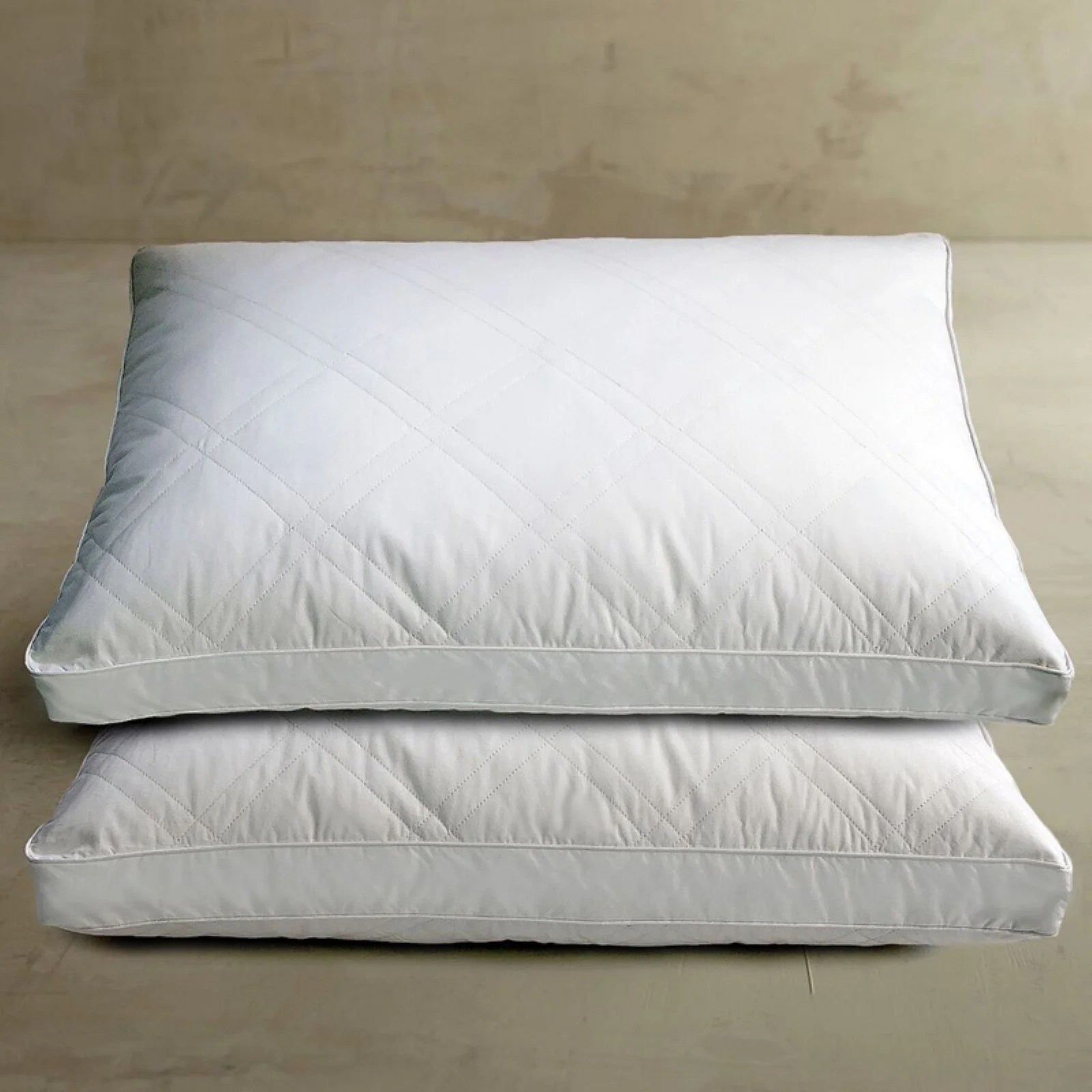 Blue Ridge Home Fashions Down Feather Bed Pillow Set of 2
