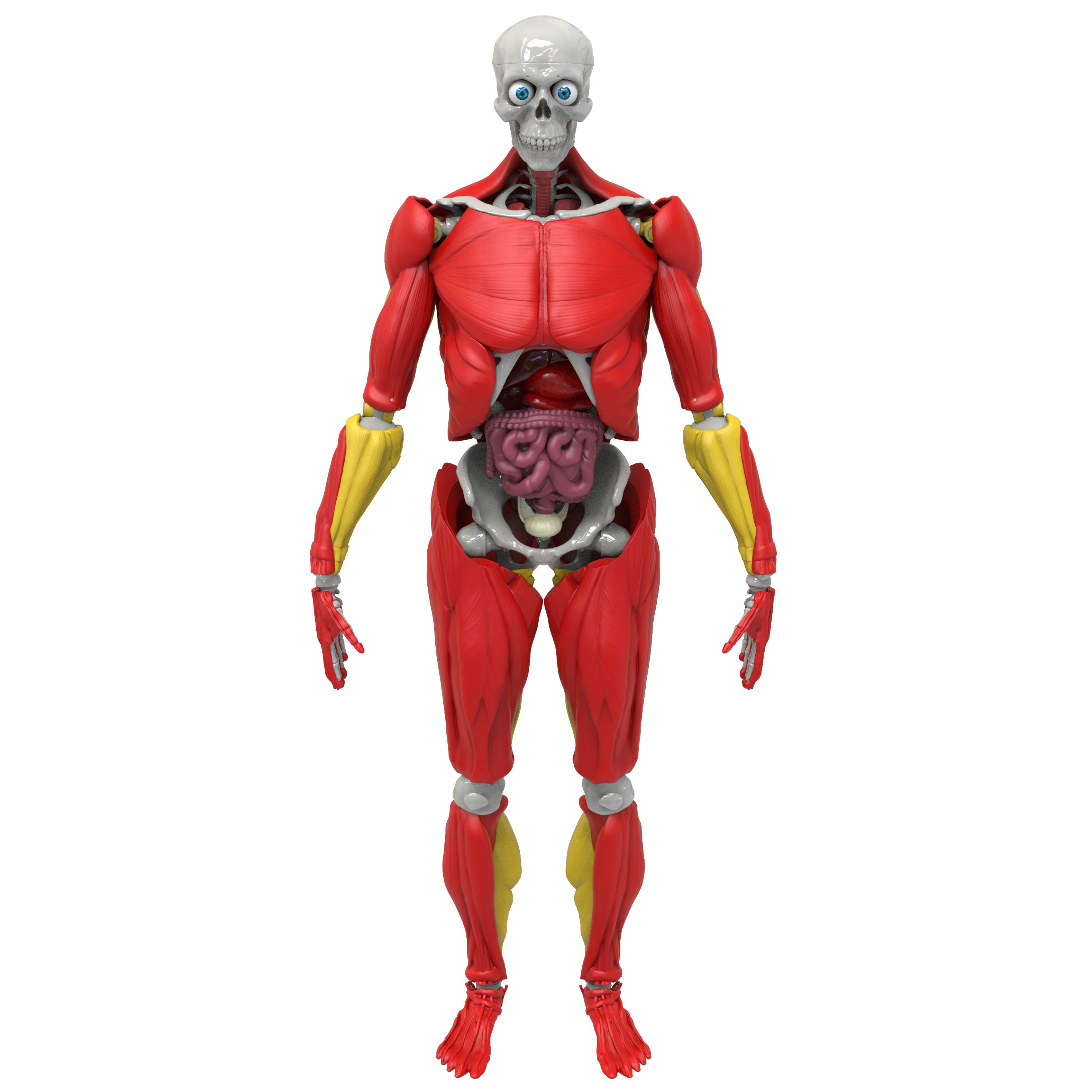 Be Amazing! Toys Science To the Max Interactive Human Body Walmart