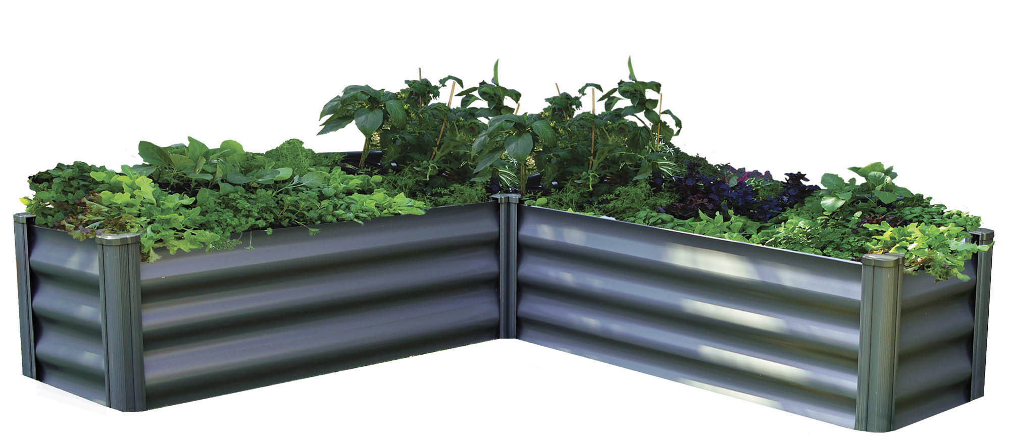 Absco L Raised Garden Bed for Terrace Garden Plants Grow Vegetables