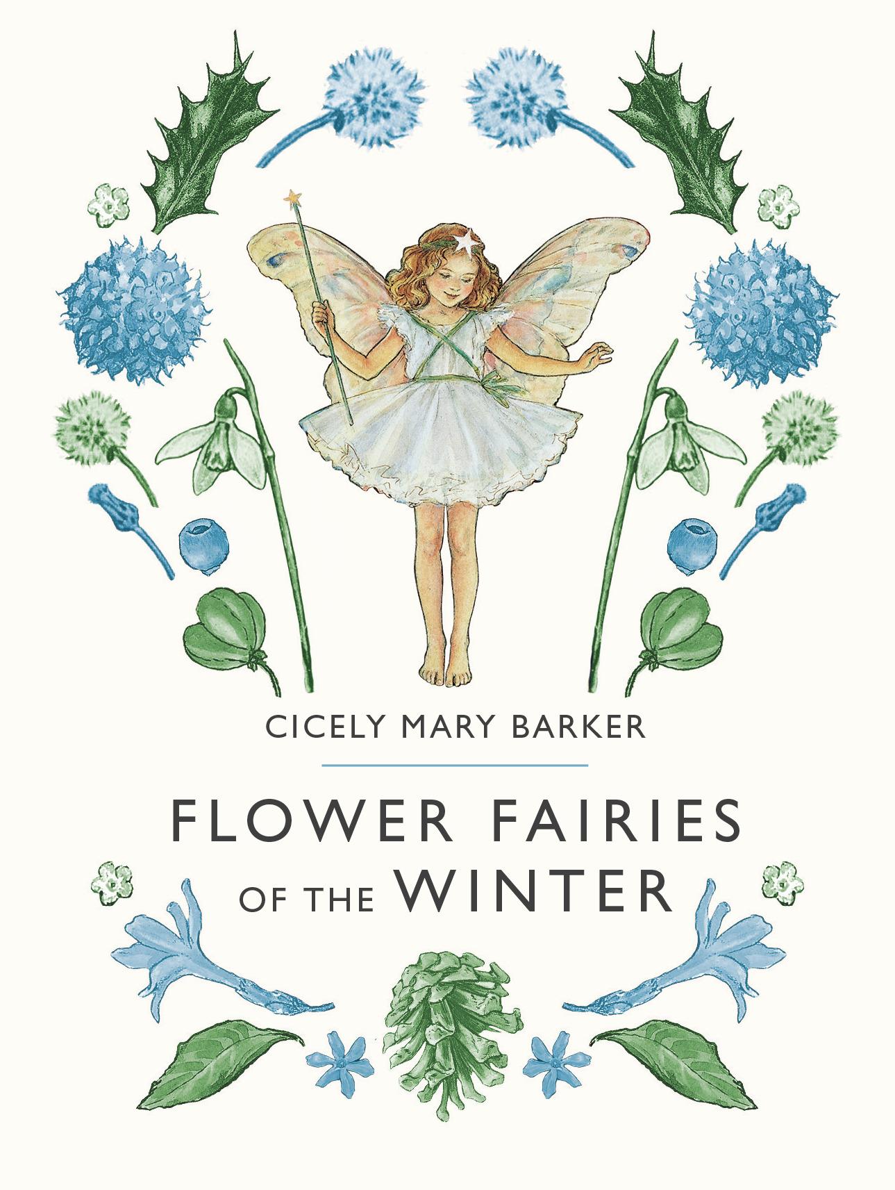 Flower Fairies Flower Fairies of the Winter (Hardcover)