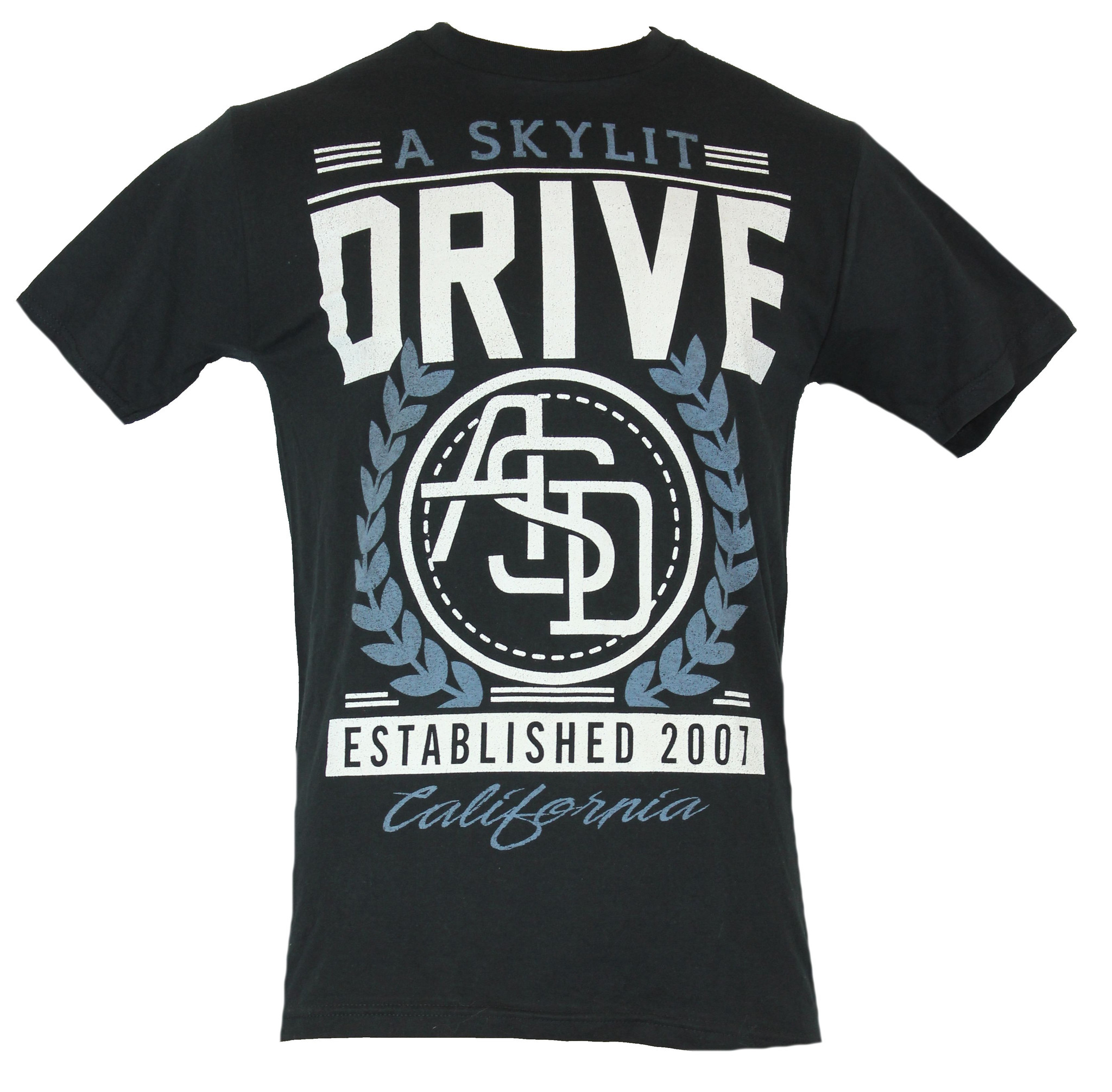 In My Parents Basement A Skylit Drive Mens TShirt Established 2007