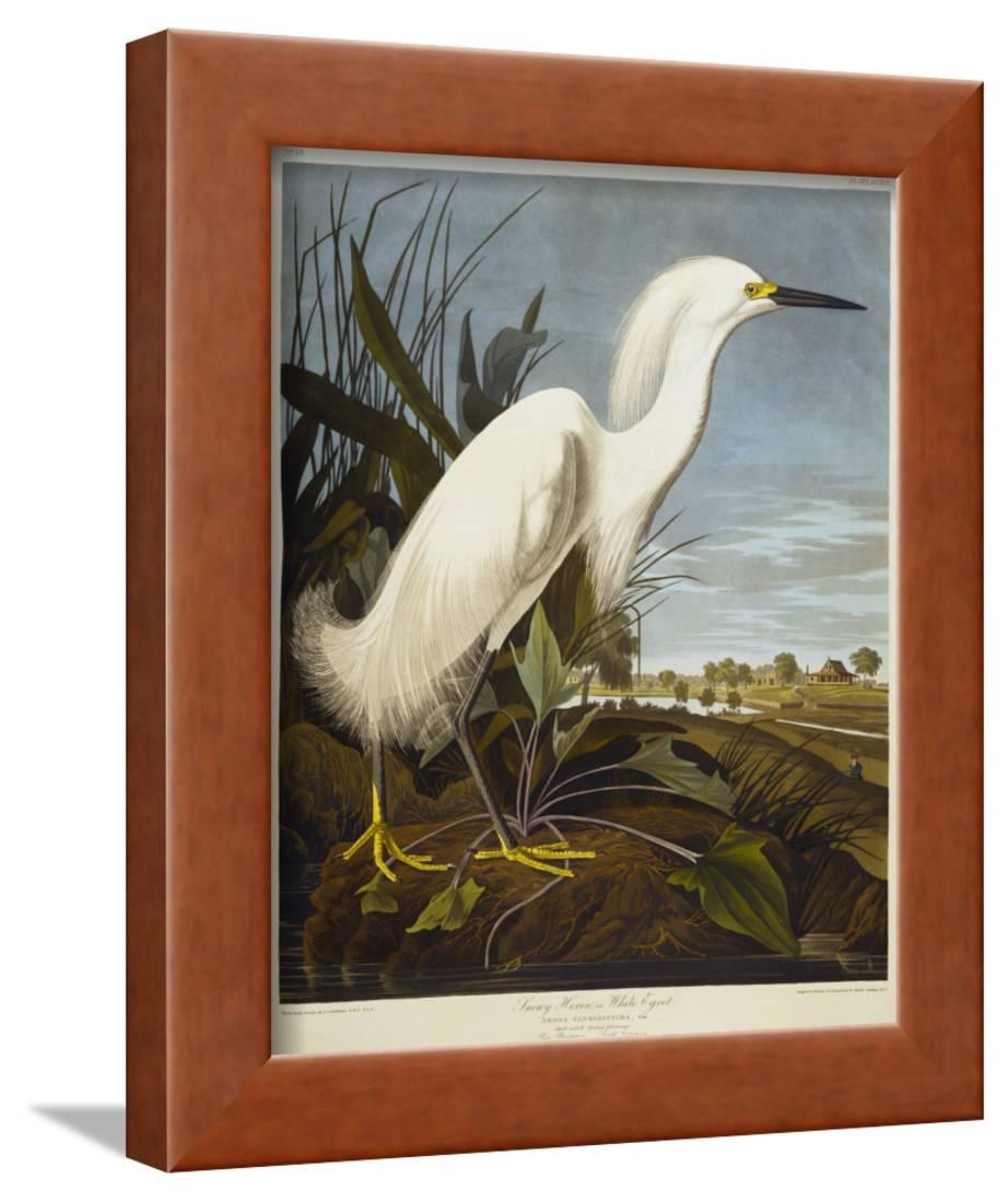 Snowy Fish or Osprey / Snow Osprey Traditional Animal and Bird Art Wall Art Printed Framed