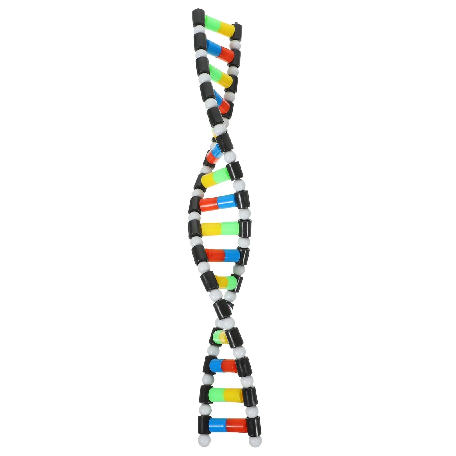 DNA Model Double Helix Model DNA Display Component for Science Teaching