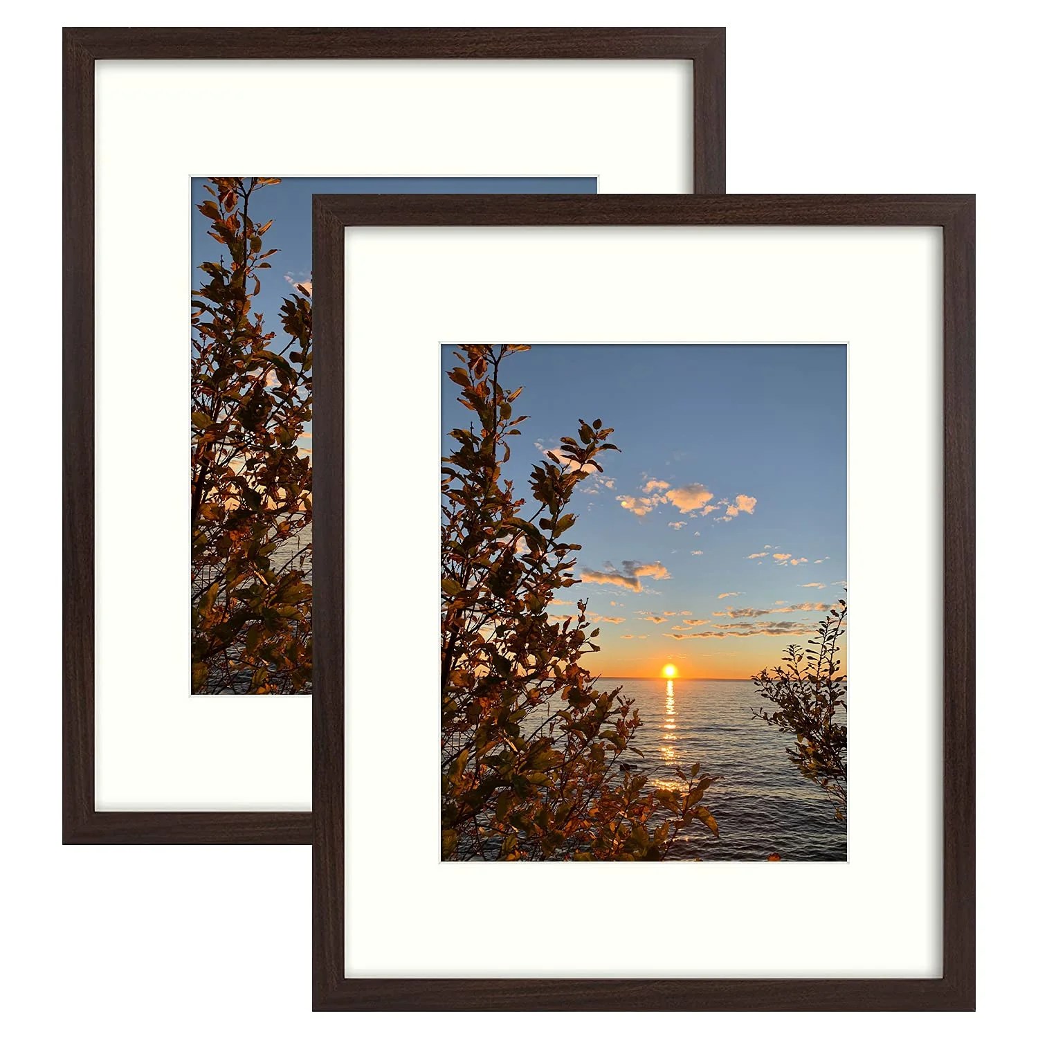 Golden State Art, 16x20 Picture Frames with Mat for 11x14 or 16x20