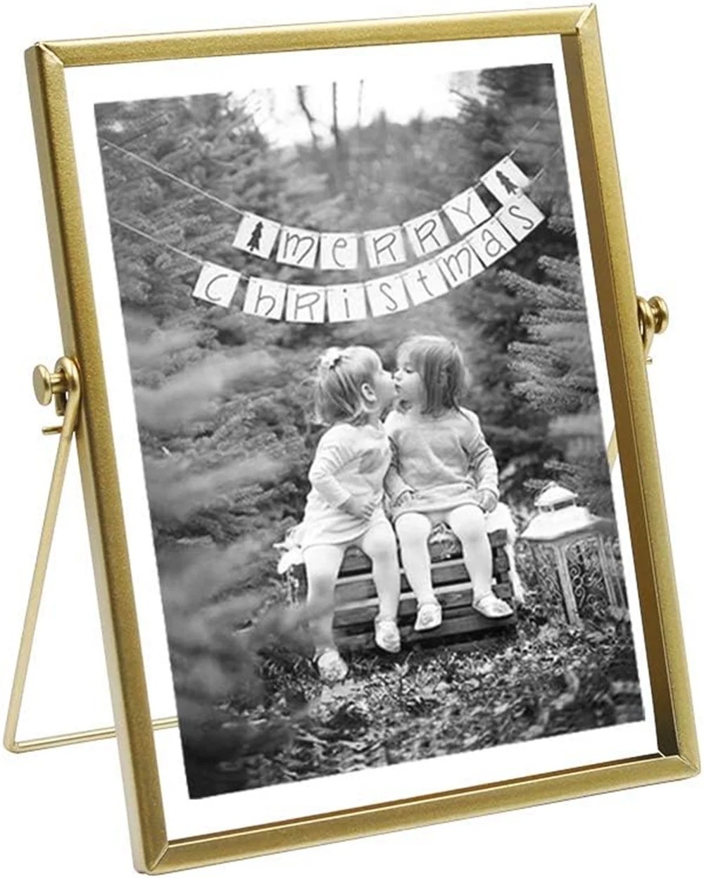 NOGIS Metal Picture Frames Vintage Minimal Ornate Floating Easel Stand