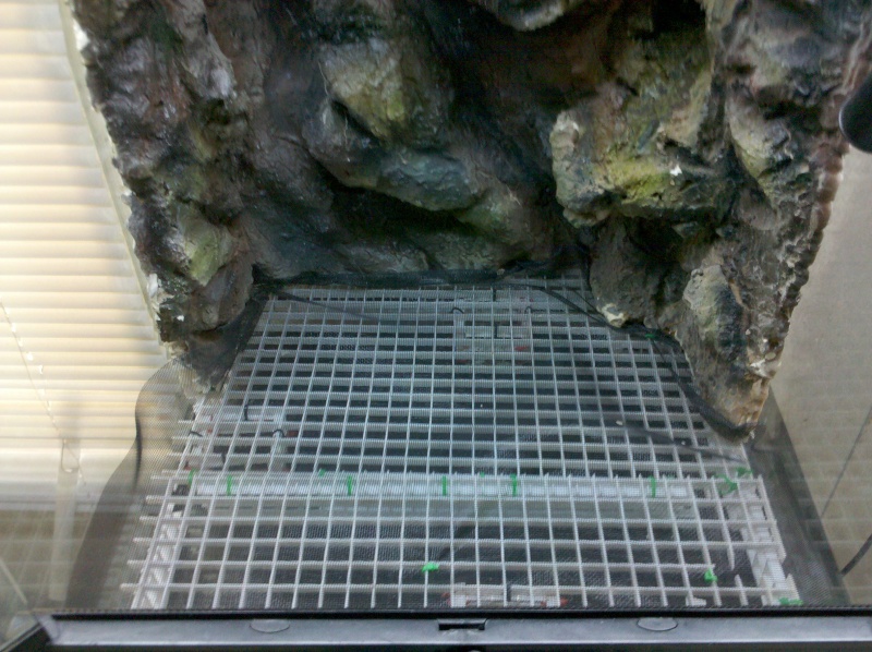 My Exo Terra 18x18x24 build Dendroboard