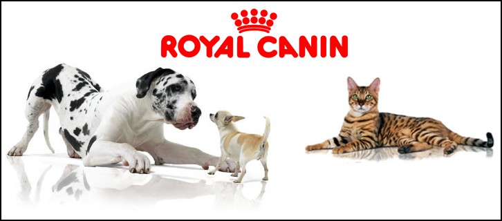 Pomeranian Puppies Royal Canin