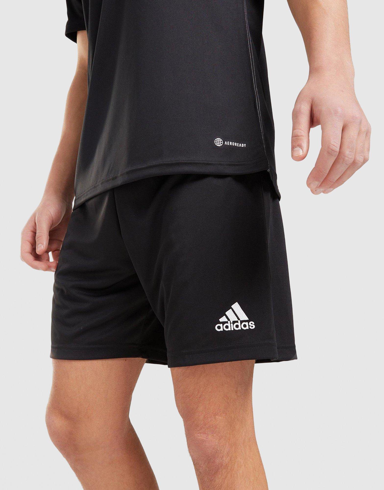 adidas Entrada 22 Shorts in Nero JD Sports