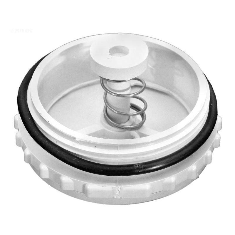 Pentair Equalizer Valve Assembly Leslie's Pool Supplies