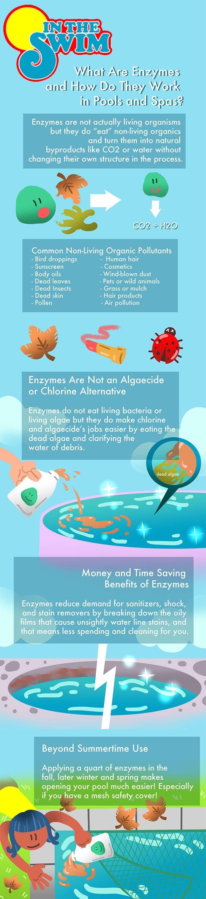 How Do Enzymes Work In Pools and Spas In The Swim