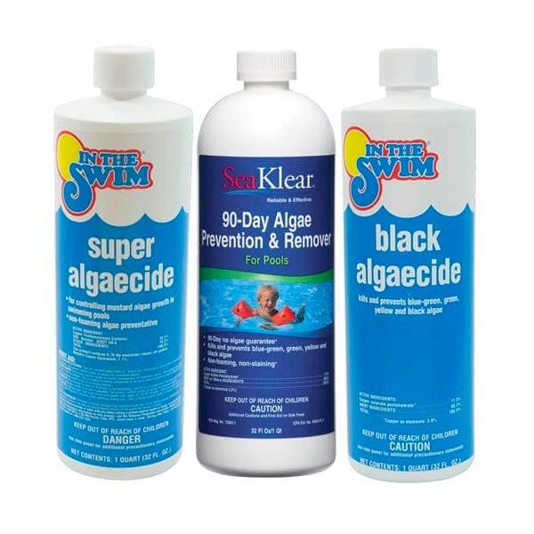 Swimming Pool Design 43+ Root Killer In Swimming Pool PNG