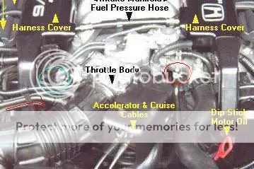 another coolant issue | Acura Legend Forum