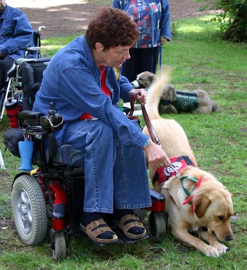 TRAINING YOUR OWN ASSISTANCE DOG The International Association of