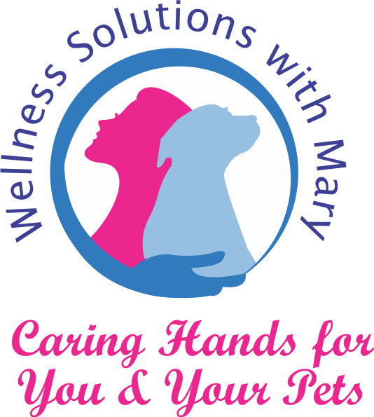 Wellness Solutions with Mary Ilderton & Area Business Association