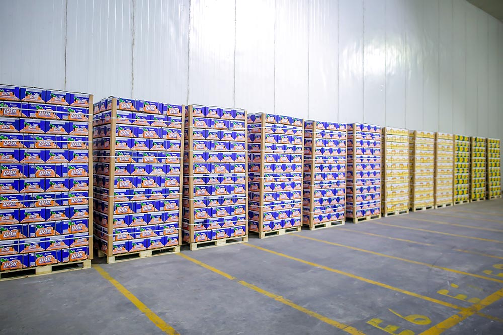 Our Facility Iftekhar Ahmed & Co