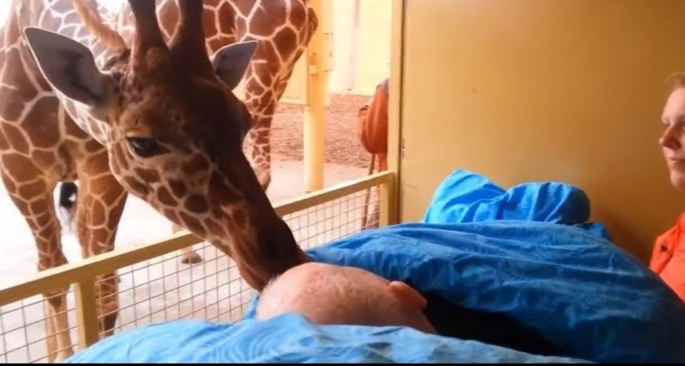 The Heartwarming Moment a Dying Zoo Worker Receives Final Kisses from