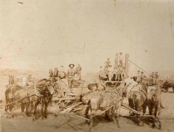 1882 Old Settlers Reunion Attendees