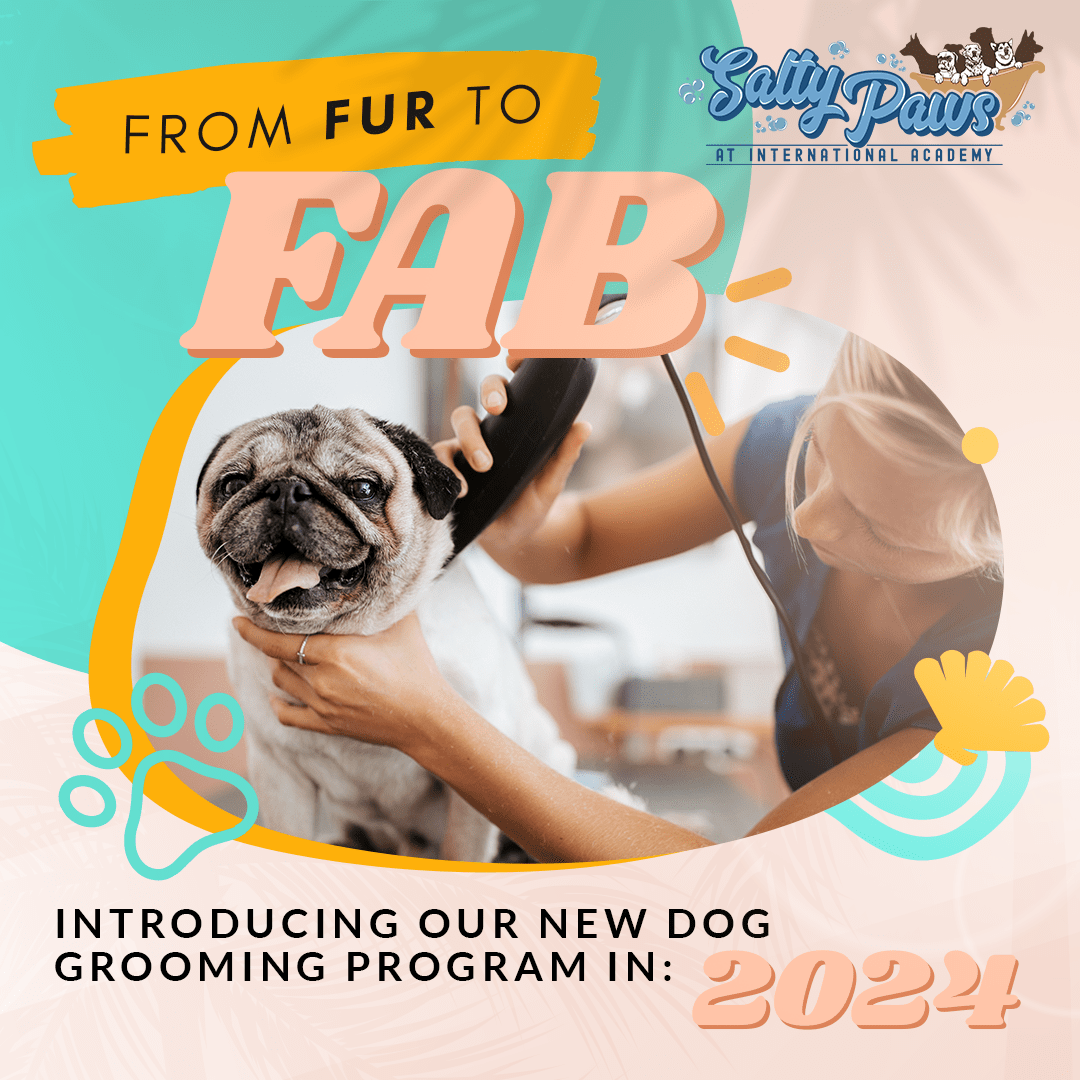 From Fur to Fab Introducing Our New Dog Grooming Program in 2024