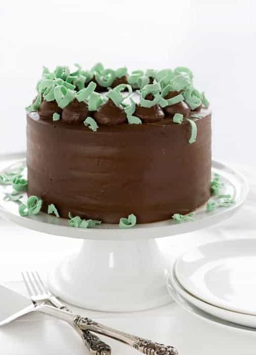 Mint Chocolate Cake {VIDEO} i am baker