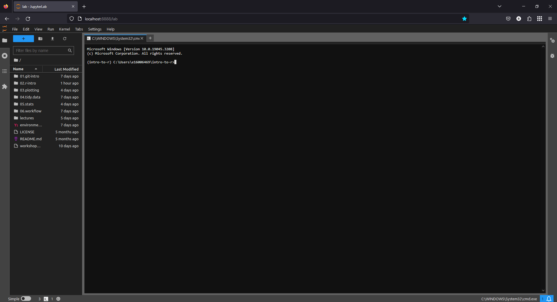 configuring the jupyterlab terminal — space cameras and glaciers