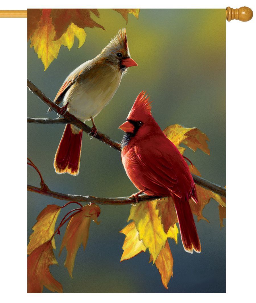 Fall Cardinal Couple House Flag I AmEricas Flags