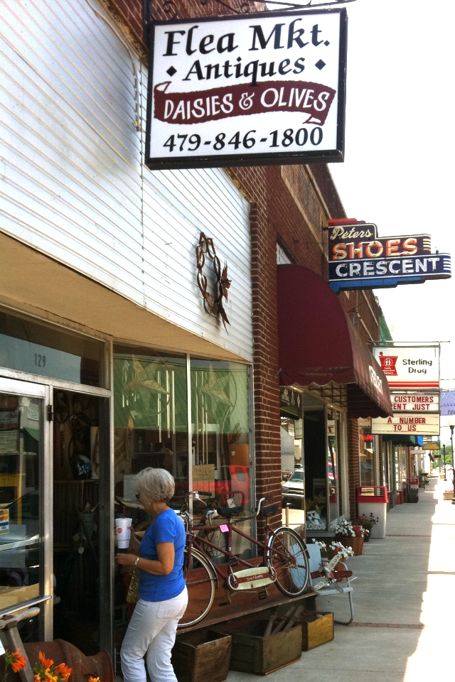 Fireflies and Cattails June 2011