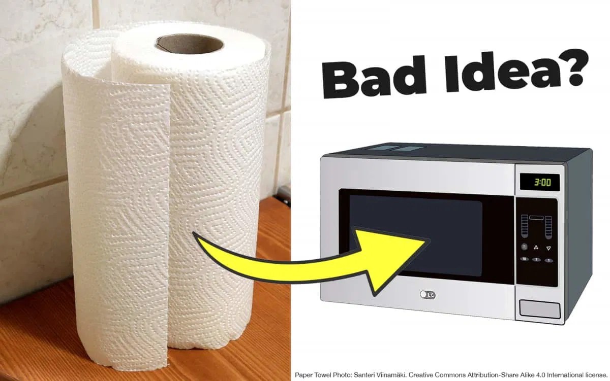 Can Paper Towels Go in the Microwave? 6 Things to Know I Am Going Vegan