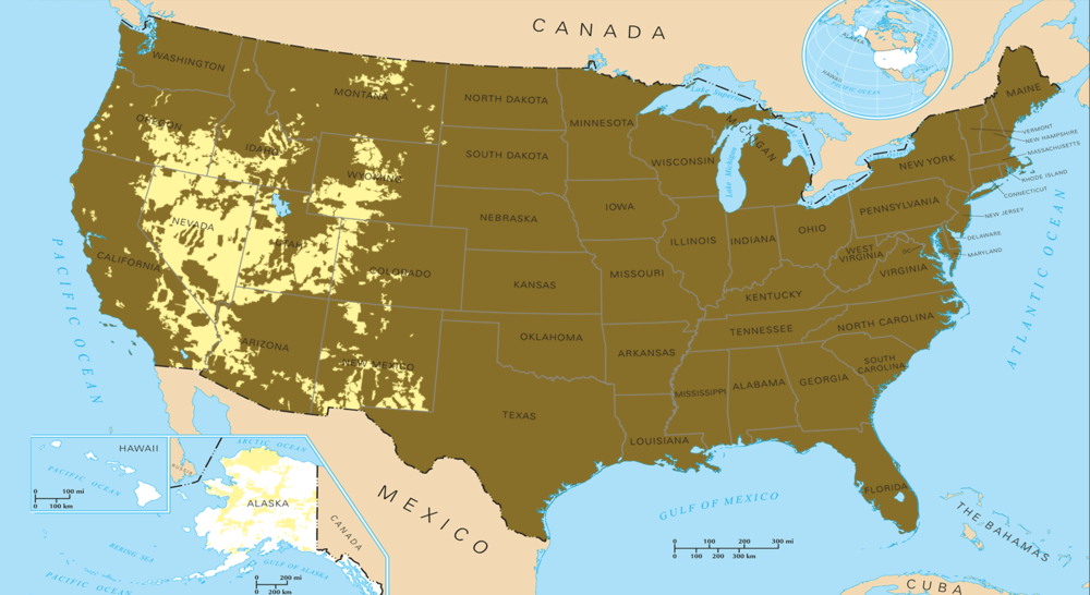 Why Can’t They Stay In The Wild? I Am Herd