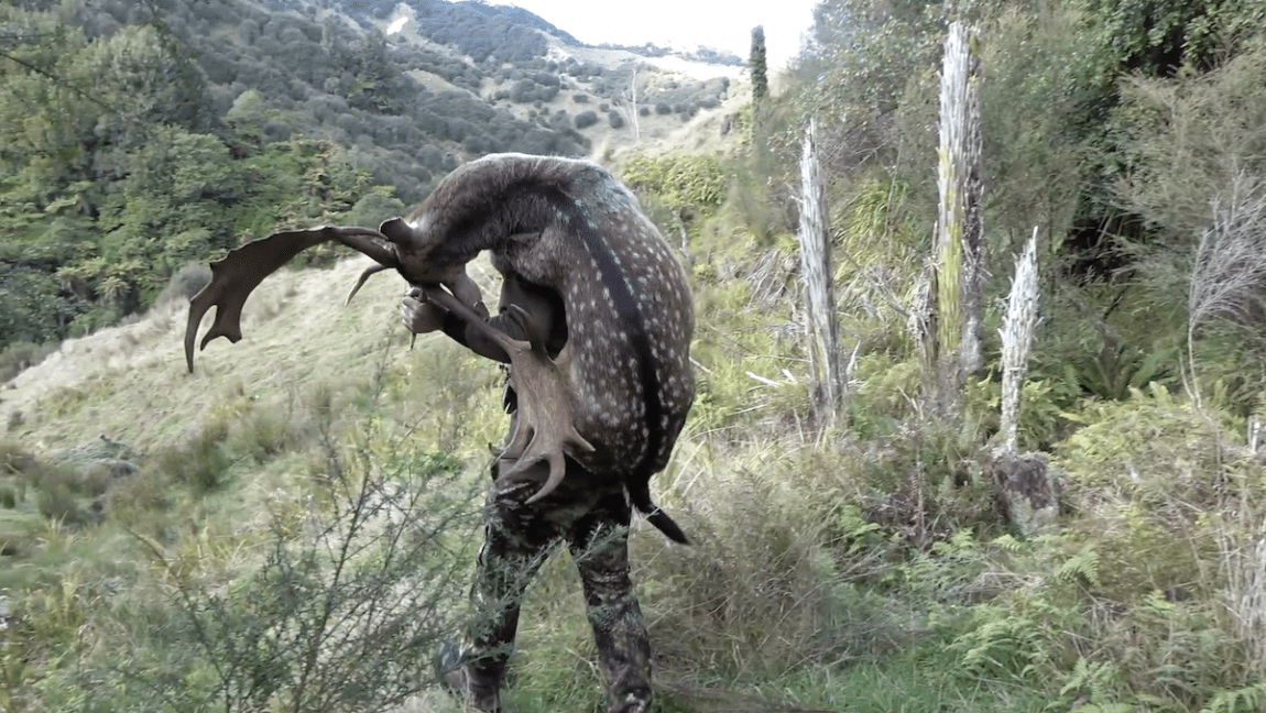 The NZ Deer Backpack My Life On The Land