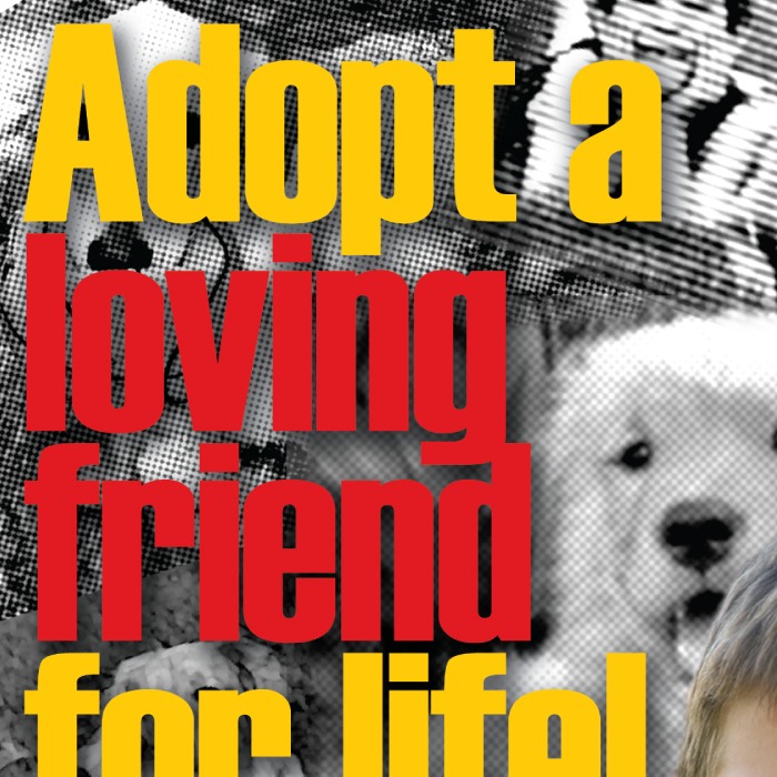 Friends Forever Rescue Nito Graphic &  Designer