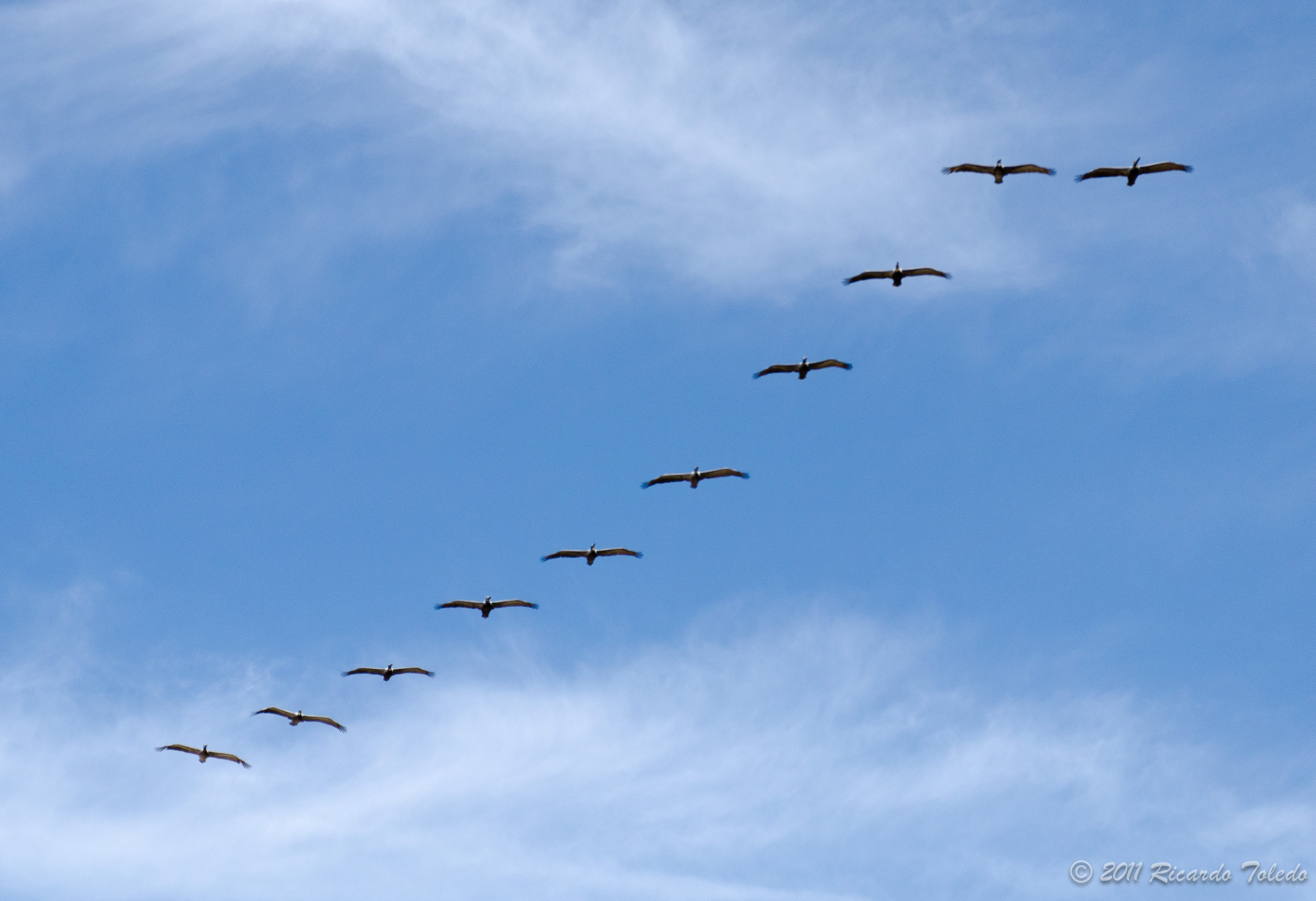 rhythm photography I am shooting...