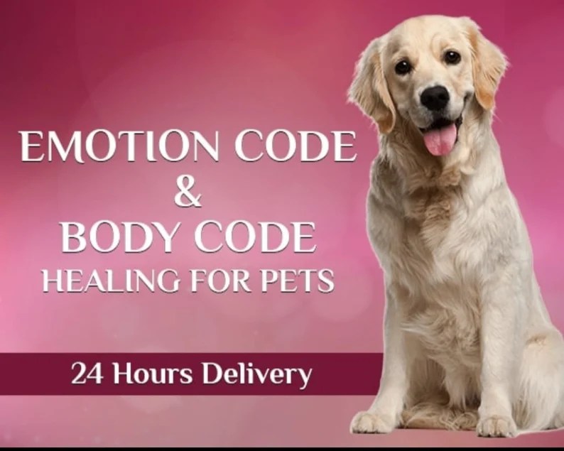 Emotion code and body code for pets Iamtialynn