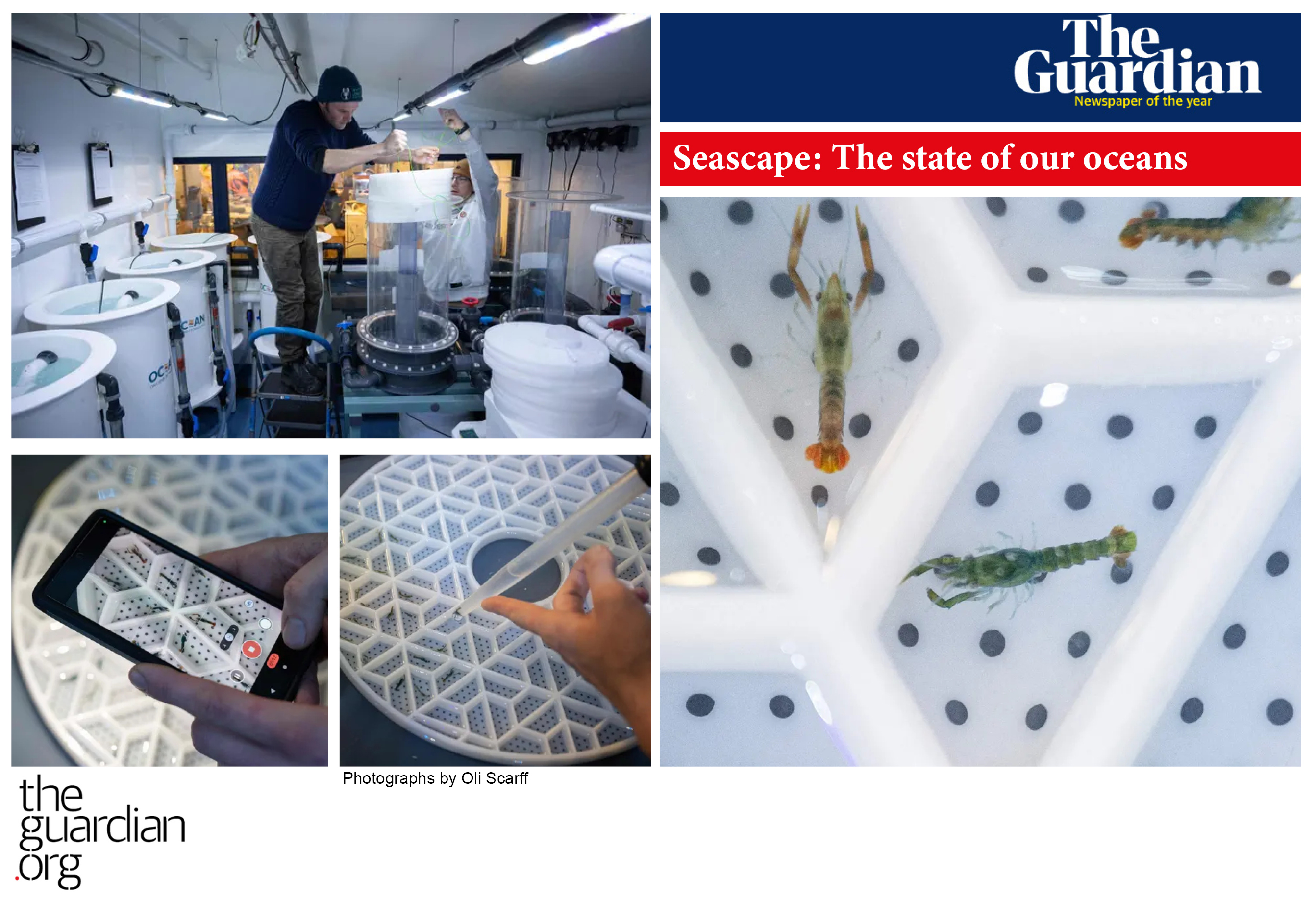 Whitby Lobster Hatchery Featured in The Guardian Ian Hazard Architect